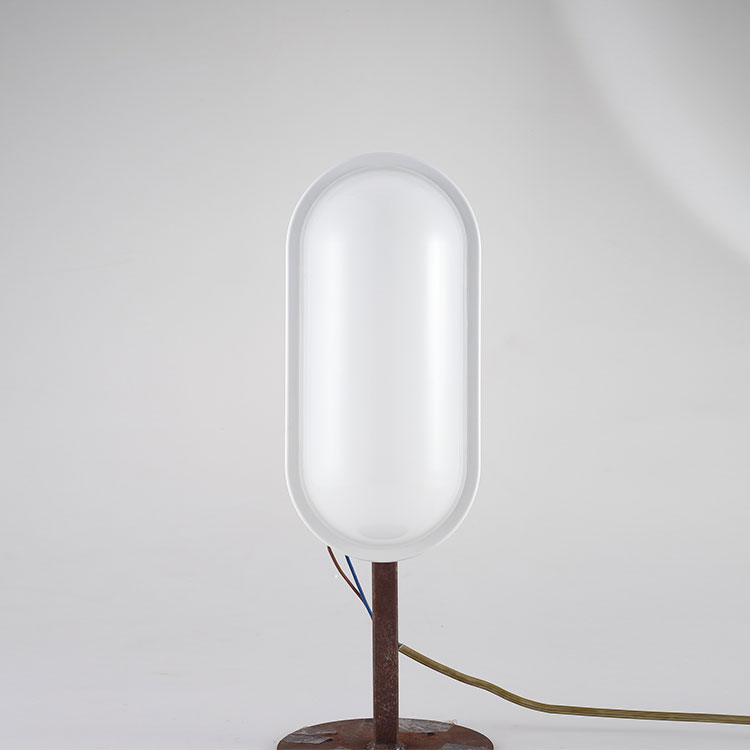 LED IP65 Bulkhead Lamp