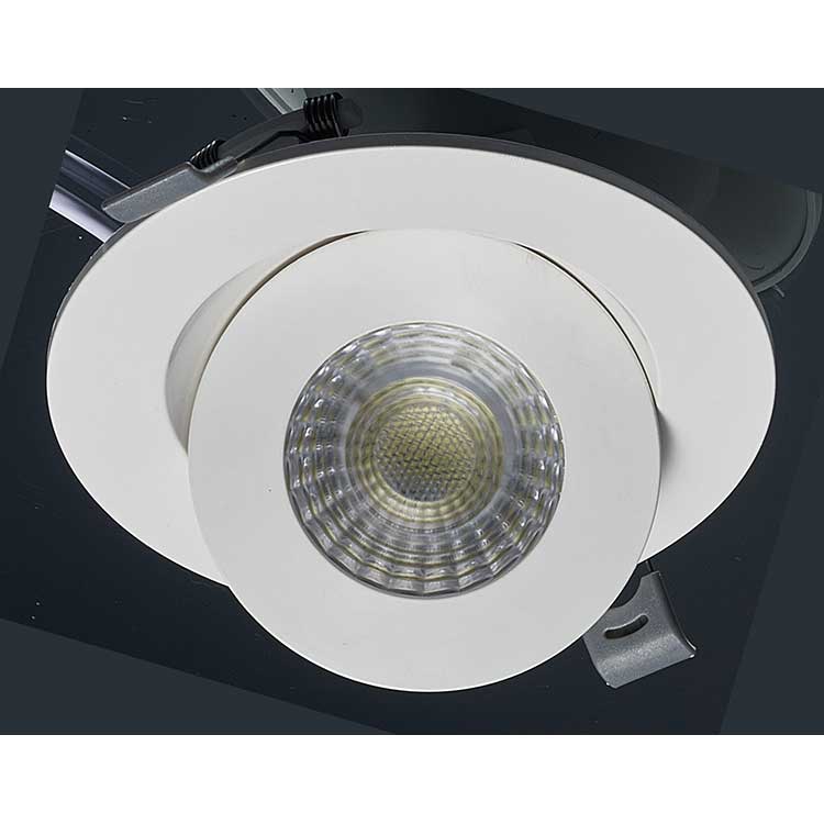 Wall Wash Ceiling Recessed Gimbal Light