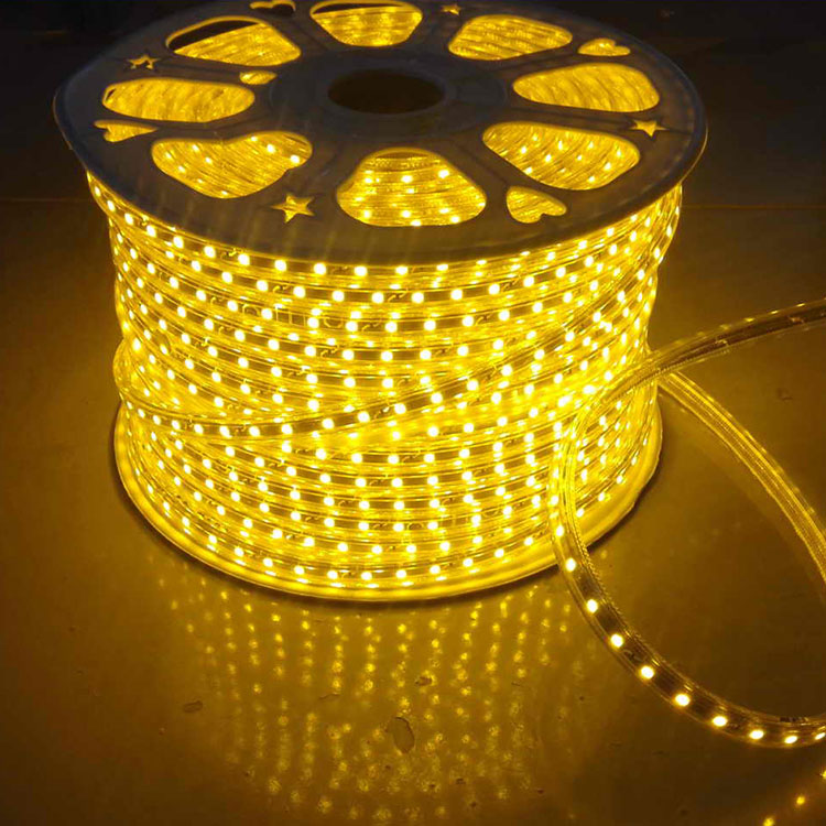 127V High Voltage Strip Light for Outdoor Decoration