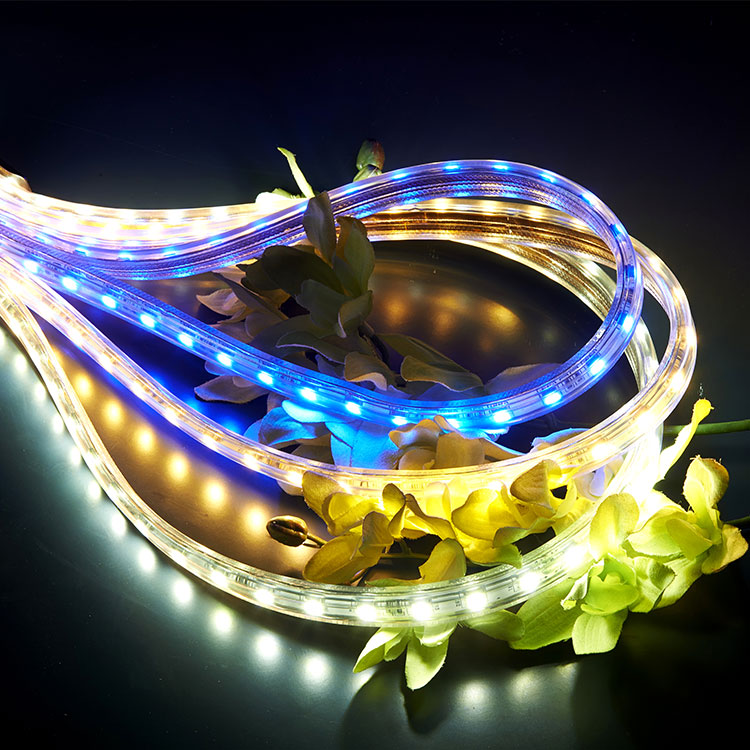 127V High Voltage Strip Light for Outdoor Decoration