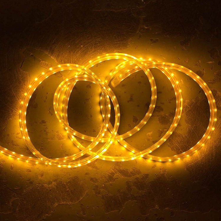 127V High Voltage Strip Light for Outdoor Decoration