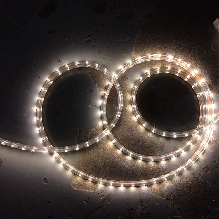 127V High Voltage Strip Light for Outdoor Decoration