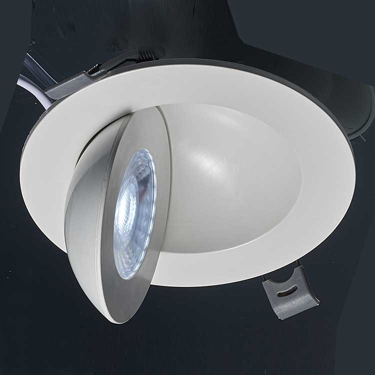 Wall Wash Ceiling Recessed Gimbal Light