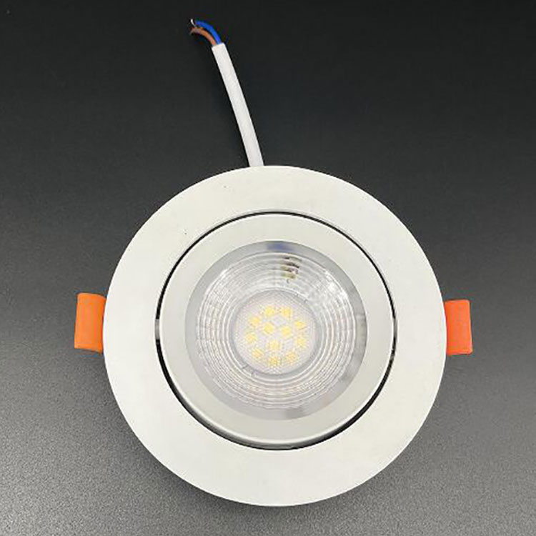 LED Adjustable Downlight