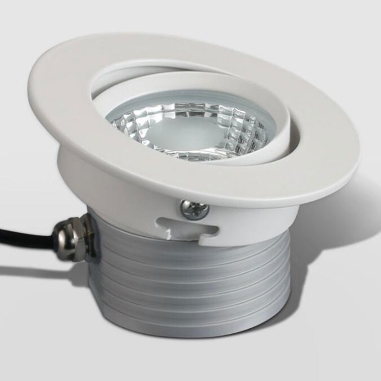 LED waterproof Downlight