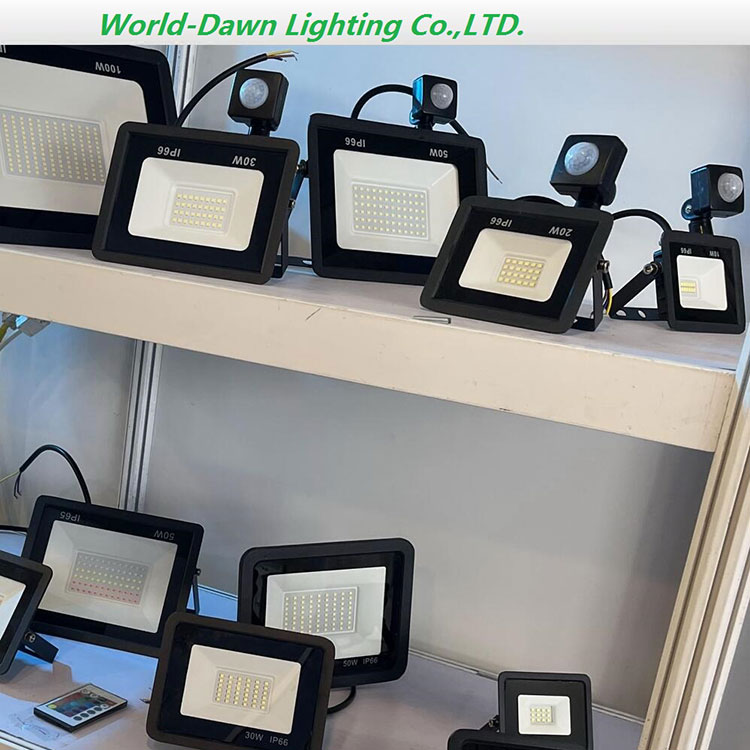 PIR Motion Detection 100W LED Floodlight