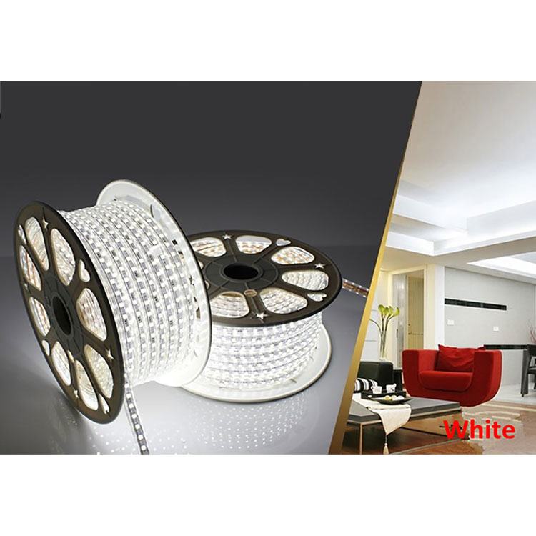 Waterproof LED Rope Light for Building Decoration