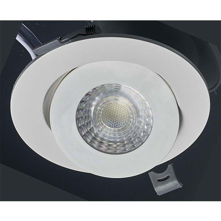 7W Gimbal Adjustable LED Downlight