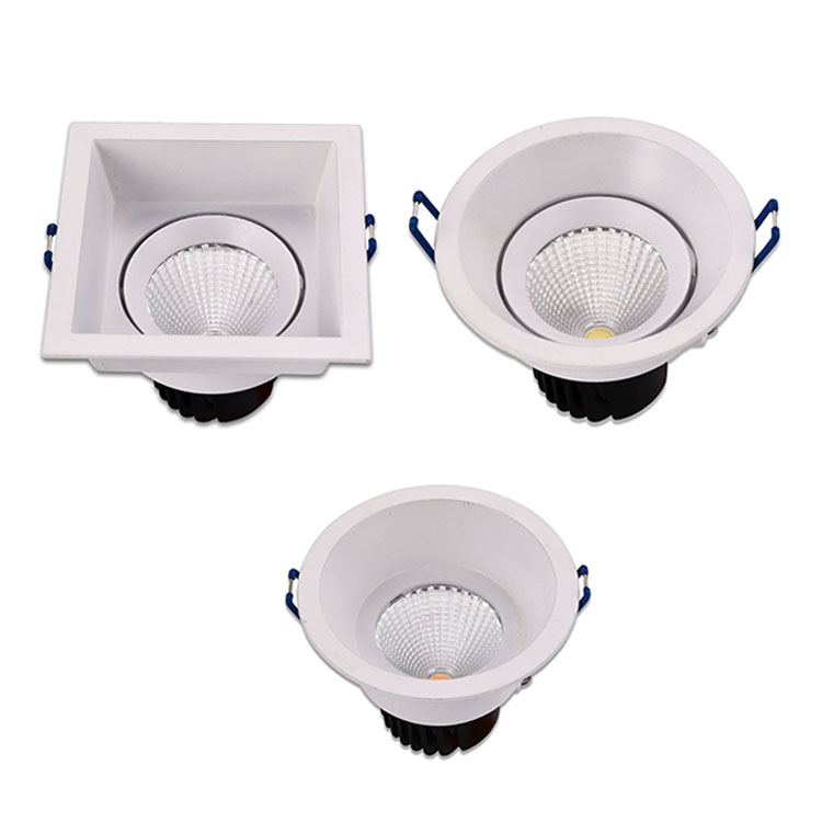 Driver Recessed Ceiling SMD Downlight