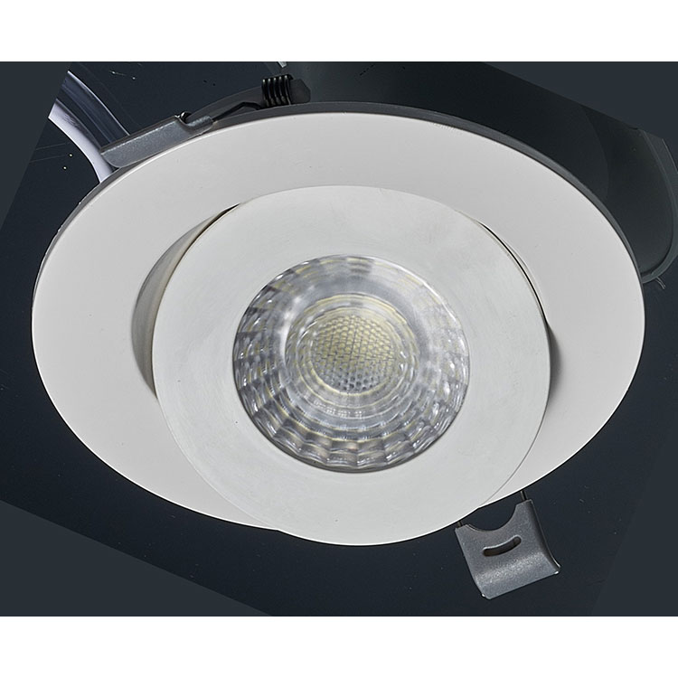 Indoor Adjustable LED Downlight