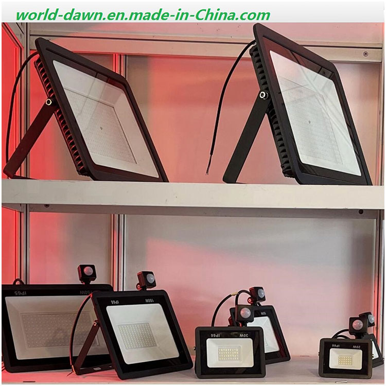 Outdoor Lighting 50W LED Floodlight