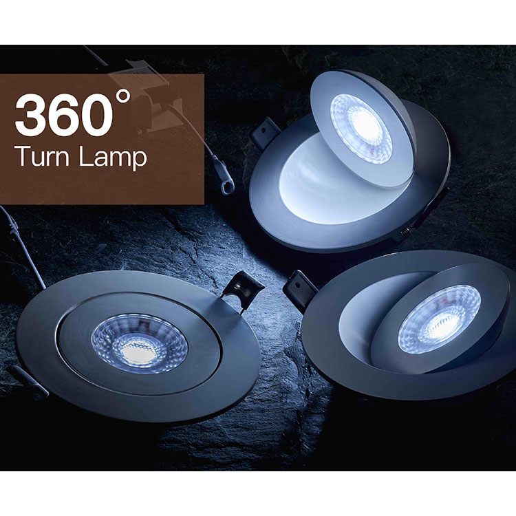 Indoor Adjustable LED Downlight