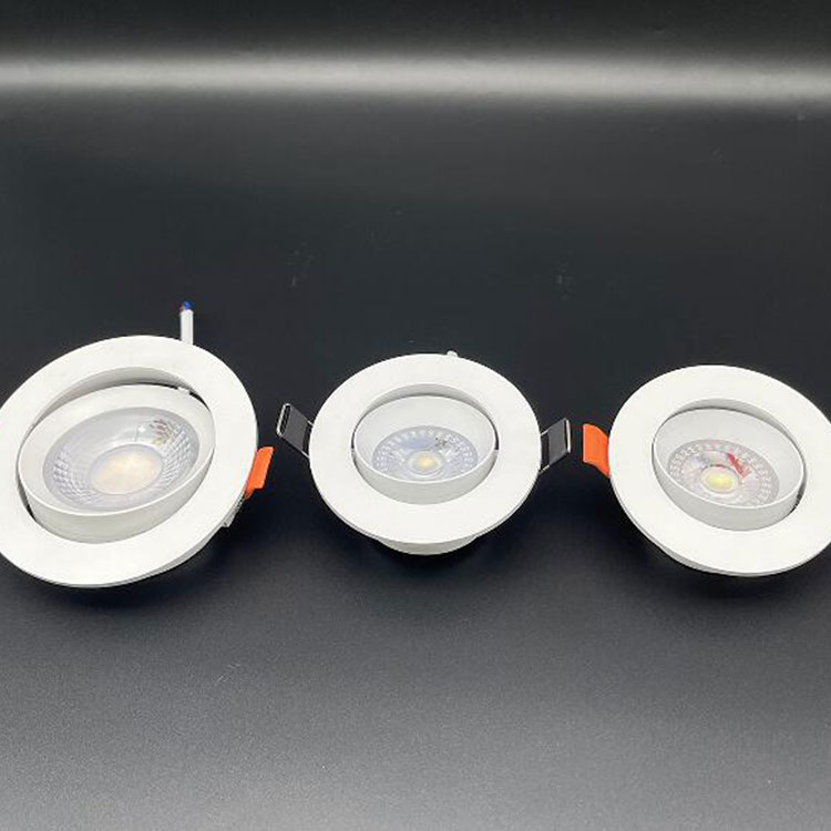 LED Adjustable Downlight