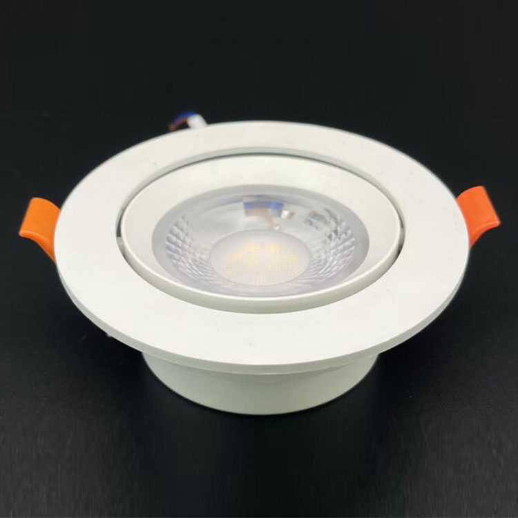 PBT LED Recessed Downlight