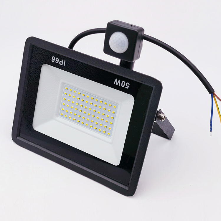 PIR Motion Detection 100W LED Floodlight