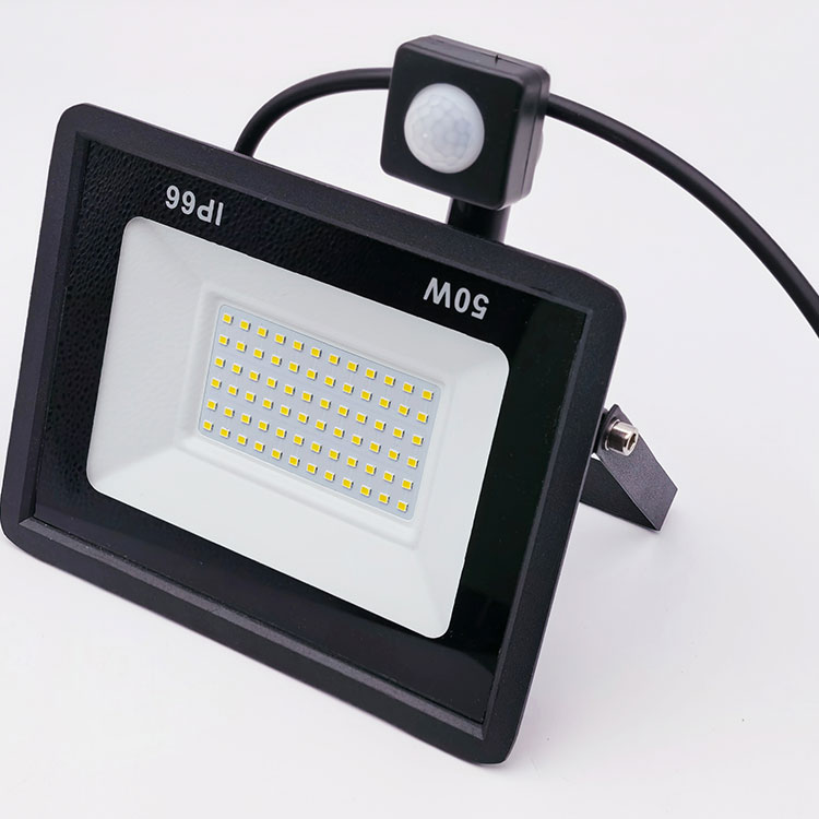 PIR Motion Detection LED Floodlight