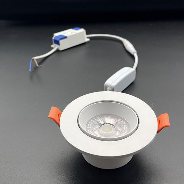 LED Adjustable Downlight