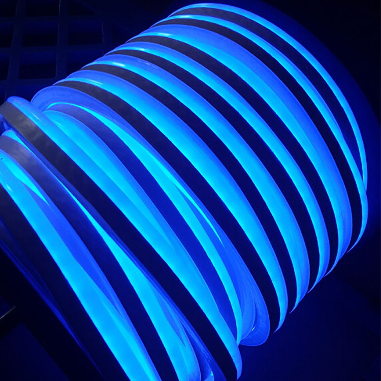 LED Neon Flex