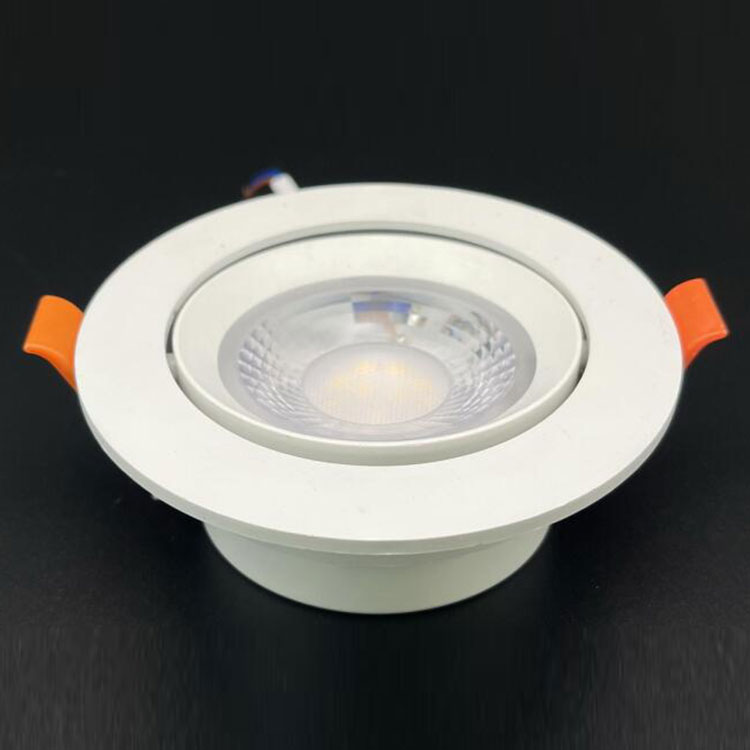 LED Adjustable Downlight