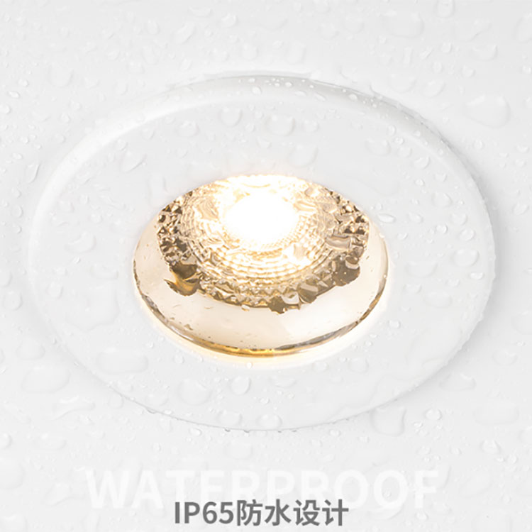 Waterproof IP65 COB Down light