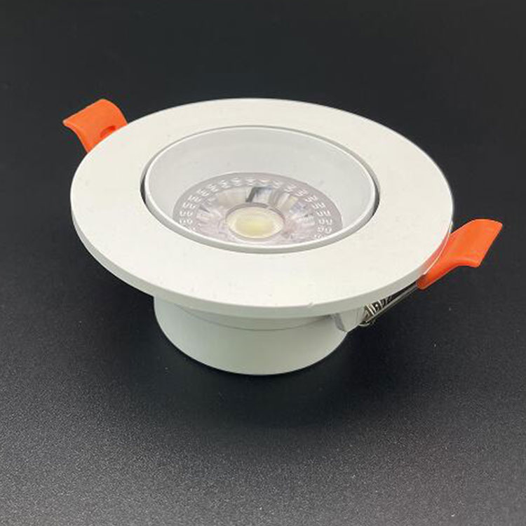 LED Adjustable Downlight