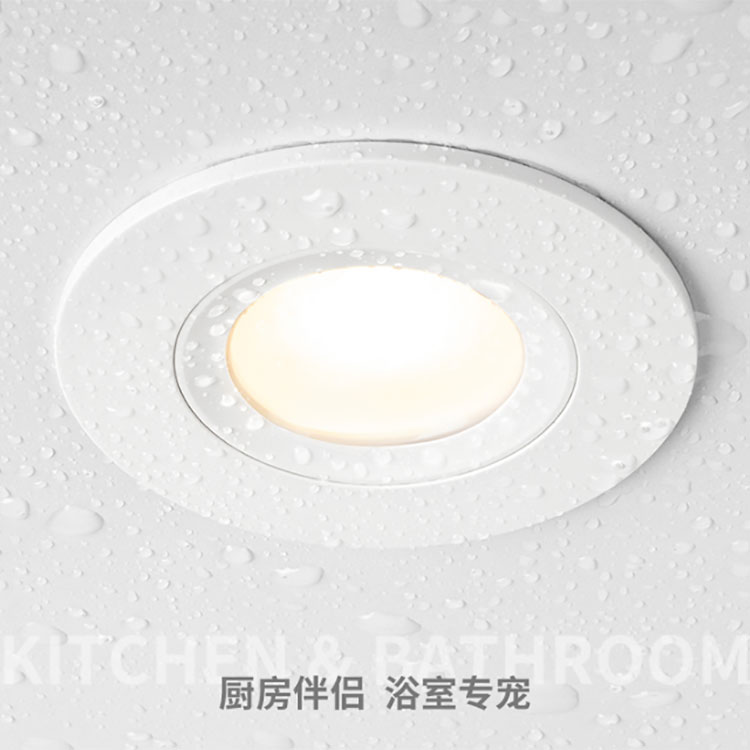 LED waterproof Downlight