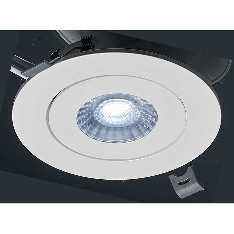 Wall Wash Ceiling Recessed Gimbal Light