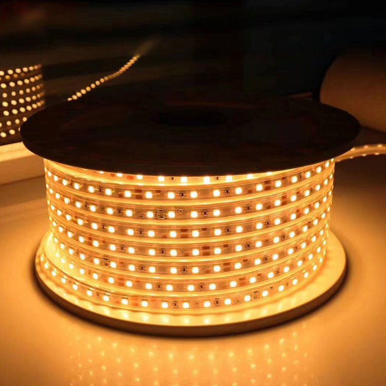 127V High Voltage Strip Light for Outdoor Decoration