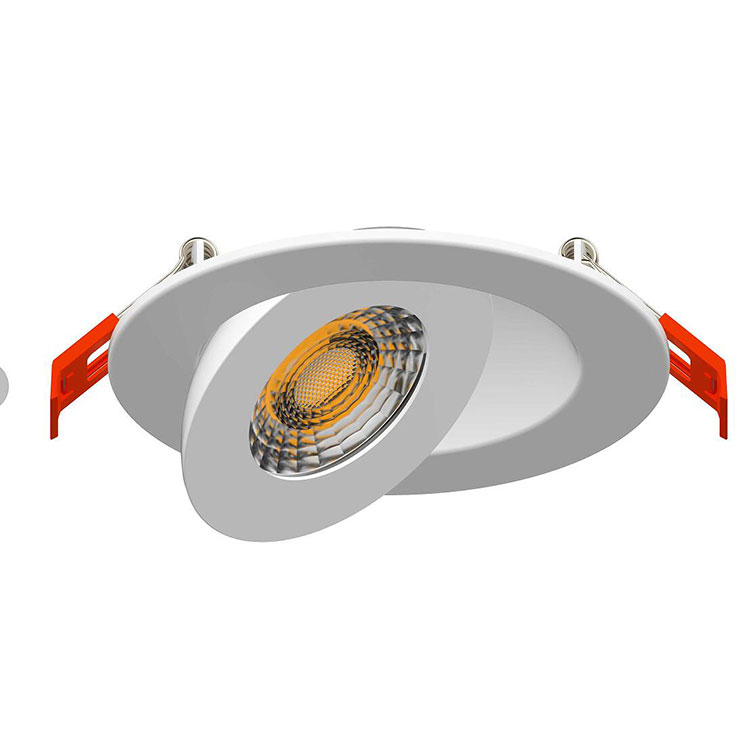 Indoor Adjustable LED Downlight