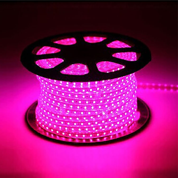 Waterproof LED Rope Light for Building Decoration